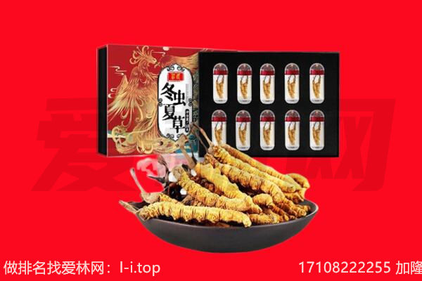 康巴什区回收虫草.jpg